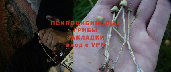 прущая мука Костерёво