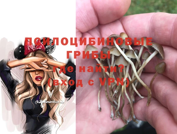apvp Алексин