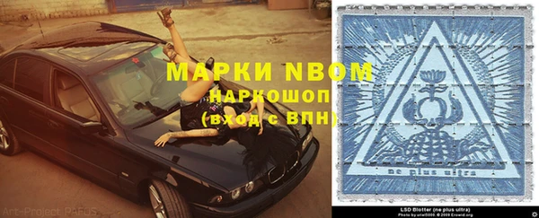 apvp Алексин
