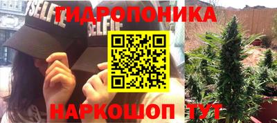 mdpv Лесосибирск
