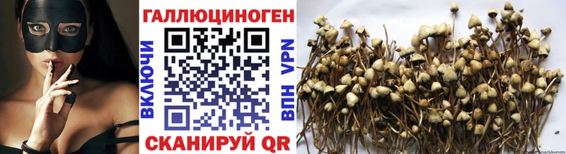 Псилоцибиновые грибы MAGIC MUSHROOMS  Зеленокумск 