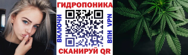 Шишки марихуана Amnesia  где купить наркотик  Зеленокумск 